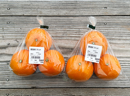 今が旬！西条産の紅まどんな