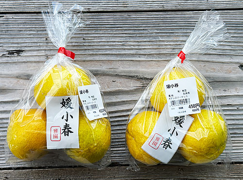 今が美味しい季節(西条産の媛小春みかんなど) 